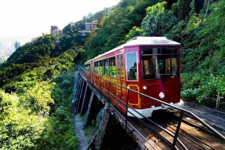太平山顶9